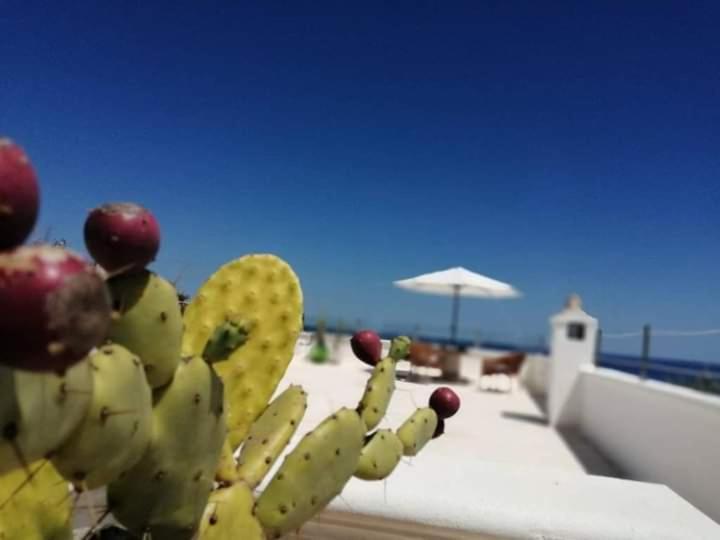 Marina Villa Маритима Екстериор снимка