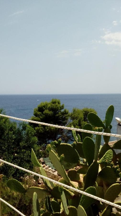 Marina Villa Маритима Екстериор снимка
